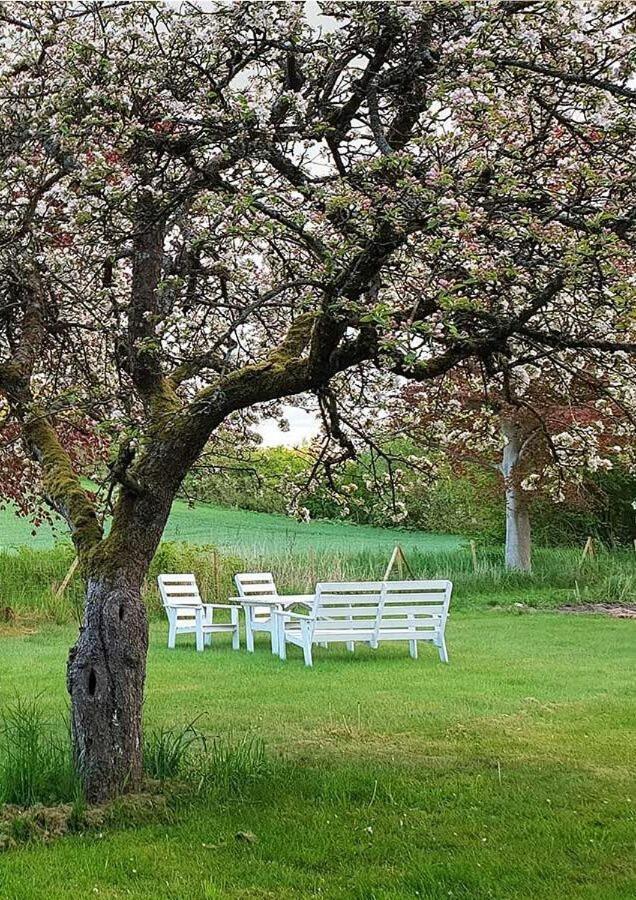تريلبورغ Minnesberg Bed & Breakfast المظهر الخارجي الصورة