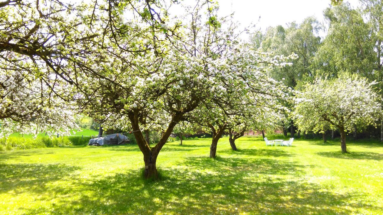 تريلبورغ Minnesberg Bed & Breakfast المظهر الخارجي الصورة